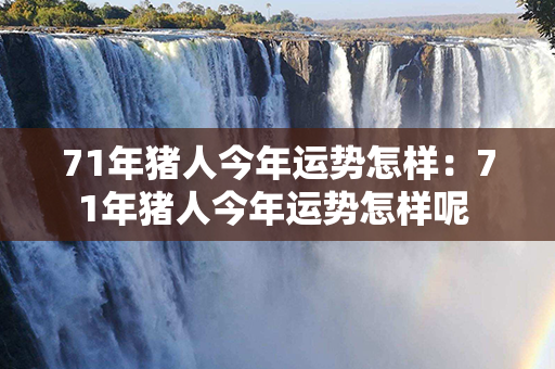 71年猪人今年运势怎样：71年猪人今年运势怎样呢 