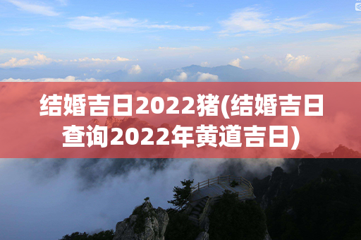 结婚吉日2022猪(结婚吉日查询2022年黄道吉日)