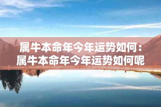 属牛本命年今年运势如何：属牛本命年今年运势如何呢 