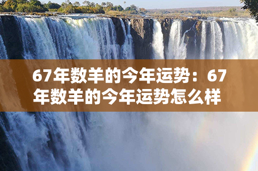 67年数羊的今年运势：67年数羊的今年运势怎么样 