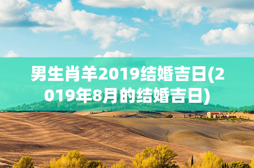 男生肖羊2019结婚吉日(2019年8月的结婚吉日)