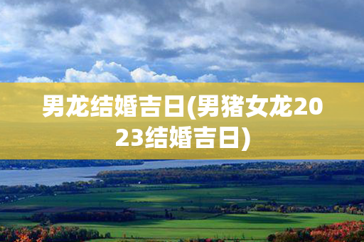 男龙结婚吉日(男猪女龙2023结婚吉日)