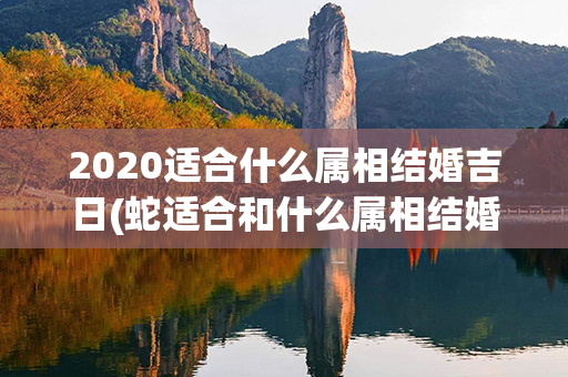 2020适合什么属相结婚吉日(蛇适合和什么属相结婚)