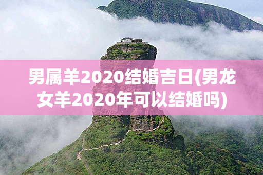 男属羊2020结婚吉日(男龙女羊2020年可以结婚吗)