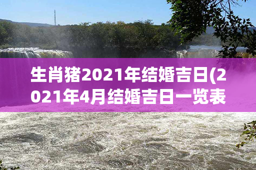 生肖猪2021年结婚吉日(2021年4月结婚吉日一览表)