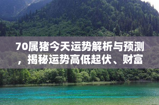 70属猪今天运势解析与预测，揭秘运势高低起伏、财富偏向及感情动向！