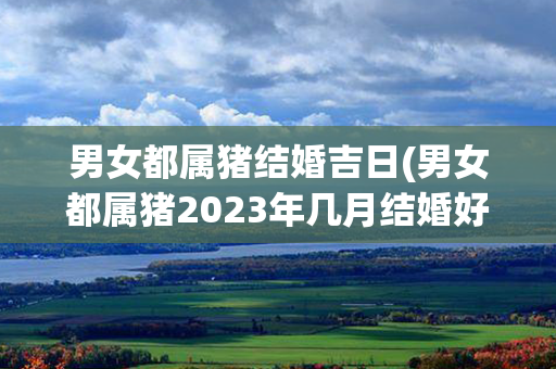 男女都属猪结婚吉日(男女都属猪2023年几月结婚好)