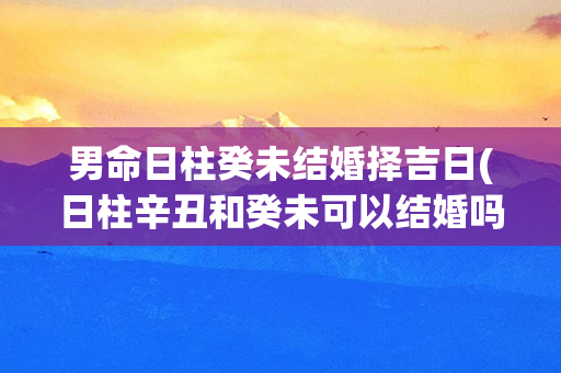 男命日柱癸未结婚择吉日(日柱辛丑和癸未可以结婚吗)