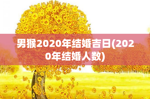 男猴2020年结婚吉日(2020年结婚人数)