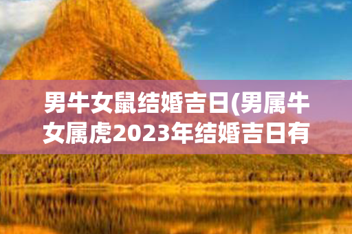 男牛女鼠结婚吉日(男属牛女属虎2023年结婚吉日有哪些)