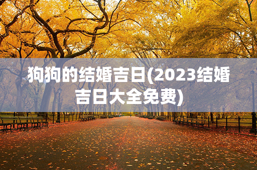 狗狗的结婚吉日(2023结婚吉日大全免费)