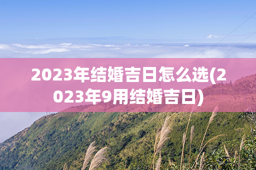 2023年结婚吉日怎么选(2023年9用结婚吉日)