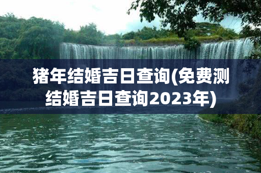 猪年结婚吉日查询(免费测结婚吉日查询2023年)