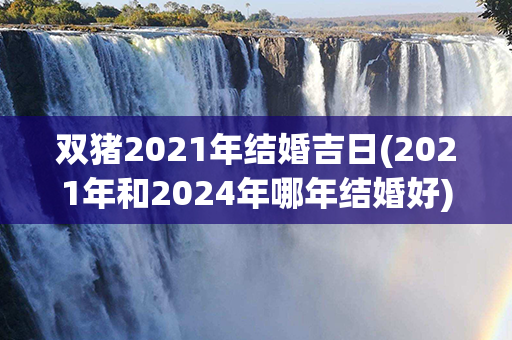 双猪2021年结婚吉日(2021年和2024年哪年结婚好)