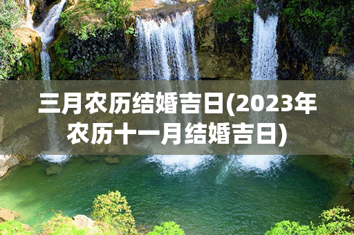 三月农历结婚吉日(2023年农历十一月结婚吉日)