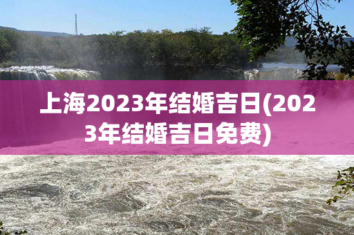 上海2023年结婚吉日(2023年结婚吉日免费)