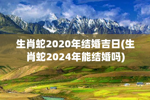 生肖蛇2020年结婚吉日(生肖蛇2024年能结婚吗)