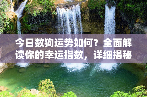 今日数狗运势如何？全面解读你的幸运指数，详细揭秘你的财富、事业、爱情等方面！