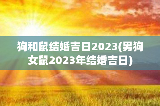 狗和鼠结婚吉日2023(男狗女鼠2023年结婚吉日)