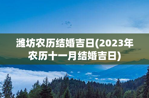 潍坊农历结婚吉日(2023年农历十一月结婚吉日)