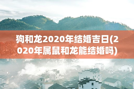 狗和龙2020年结婚吉日(2020年属鼠和龙能结婚吗)