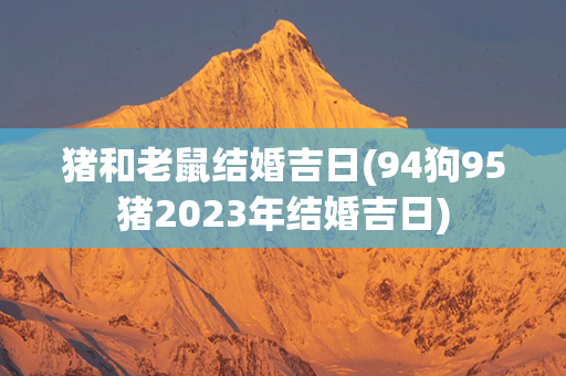 猪和老鼠结婚吉日(94狗95猪2023年结婚吉日)