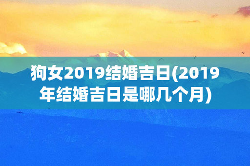 狗女2019结婚吉日(2019年结婚吉日是哪几个月)