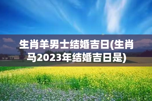 生肖羊男士结婚吉日(生肖马2023年结婚吉日是)