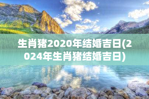 生肖猪2020年结婚吉日(2024年生肖猪结婚吉日)