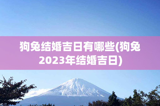 狗兔结婚吉日有哪些(狗兔2023年结婚吉日)