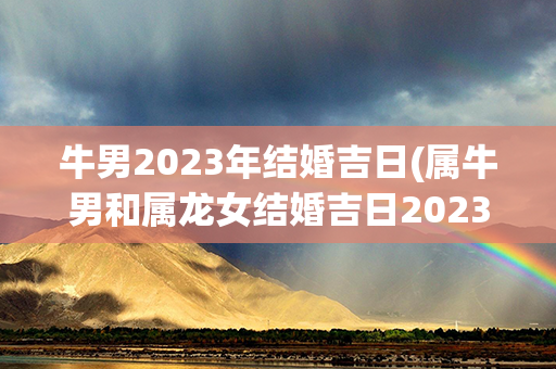 牛男2023年结婚吉日(属牛男和属龙女结婚吉日2023年)