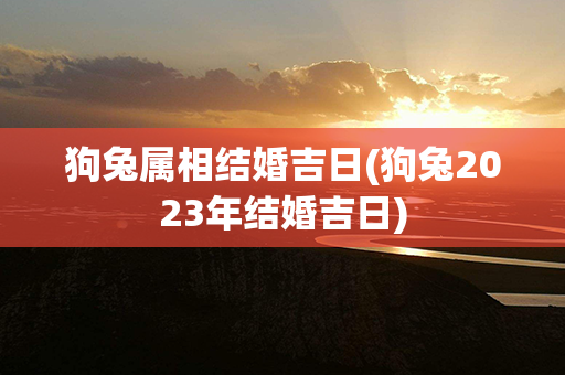 狗兔属相结婚吉日(狗兔2023年结婚吉日)