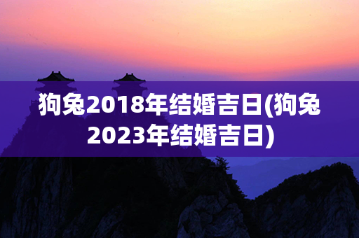 狗兔2018年结婚吉日(狗兔2023年结婚吉日)