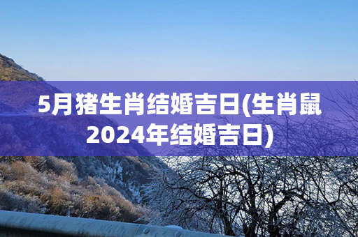 5月猪生肖结婚吉日(生肖鼠2024年结婚吉日)