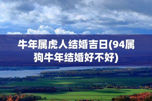 牛年属虎人结婚吉日(94属狗牛年结婚好不好)