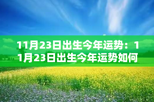 11月23日出生今年运势：11月23日出生今年运势如何 