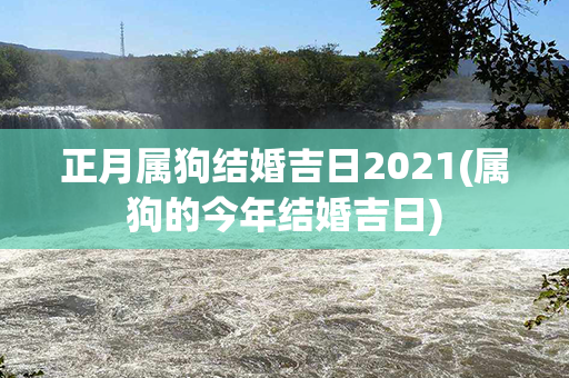 正月属狗结婚吉日2021(属狗的今年结婚吉日)