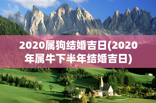 2020属狗结婚吉日(2020年属牛下半年结婚吉日)