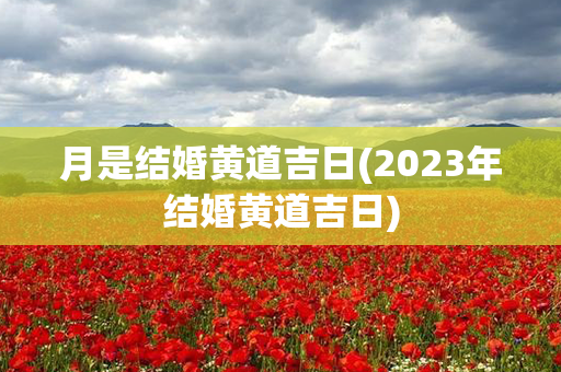 月是结婚黄道吉日(2023年结婚黄道吉日)