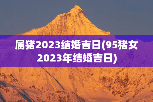 属猪2023结婚吉日(95猪女2023年结婚吉日)