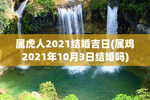 属虎人2021结婚吉日(属鸡2021年10月3日结婚吗)