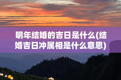 明年结婚的吉日是什么(结婚吉日冲属相是什么意思)