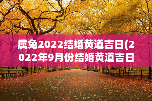 属兔2022结婚黄道吉日(2022年9月份结婚黄道吉日)