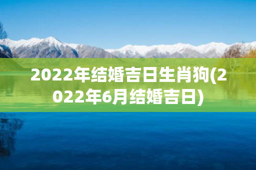 2022年结婚吉日生肖狗(2022年6月结婚吉日)