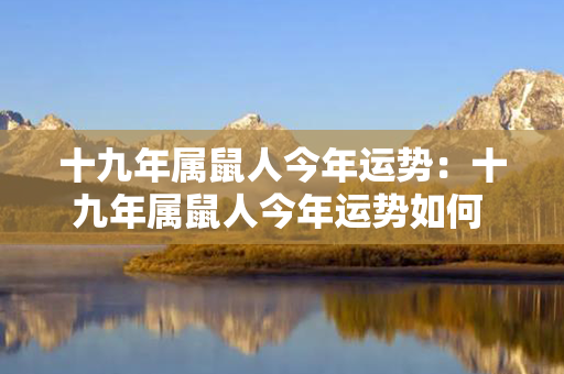 十九年属鼠人今年运势：十九年属鼠人今年运势如何 