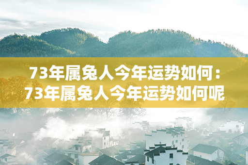 73年属兔人今年运势如何：73年属兔人今年运势如何呢 