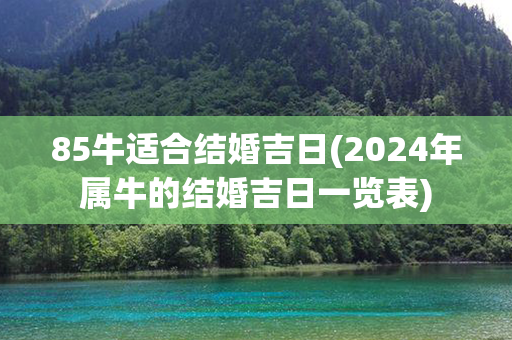 85牛适合结婚吉日(2024年属牛的结婚吉日一览表)