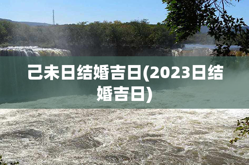 己未日结婚吉日(2023日结婚吉日)