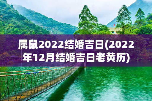 属鼠2022结婚吉日(2022年12月结婚吉日老黄历)