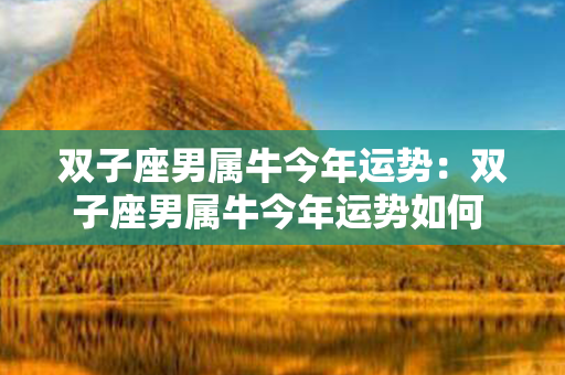 双子座男属牛今年运势：双子座男属牛今年运势如何 